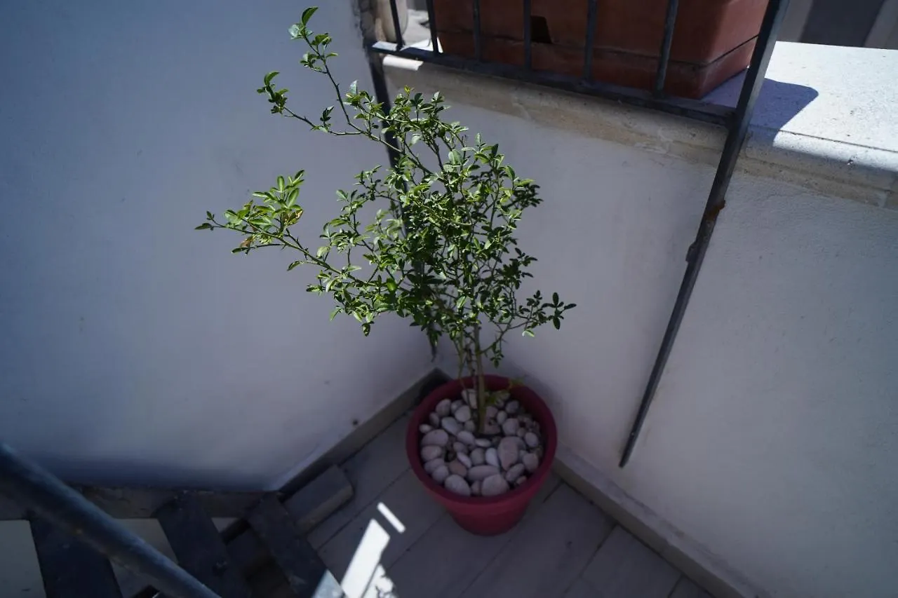Casa Delle Rondini Apartment Catania