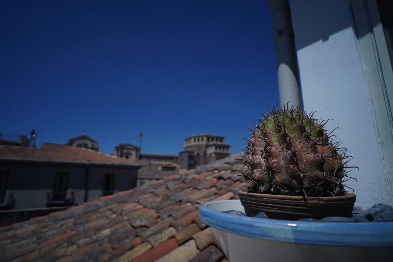 Casa Delle Rondini Apartment Catania