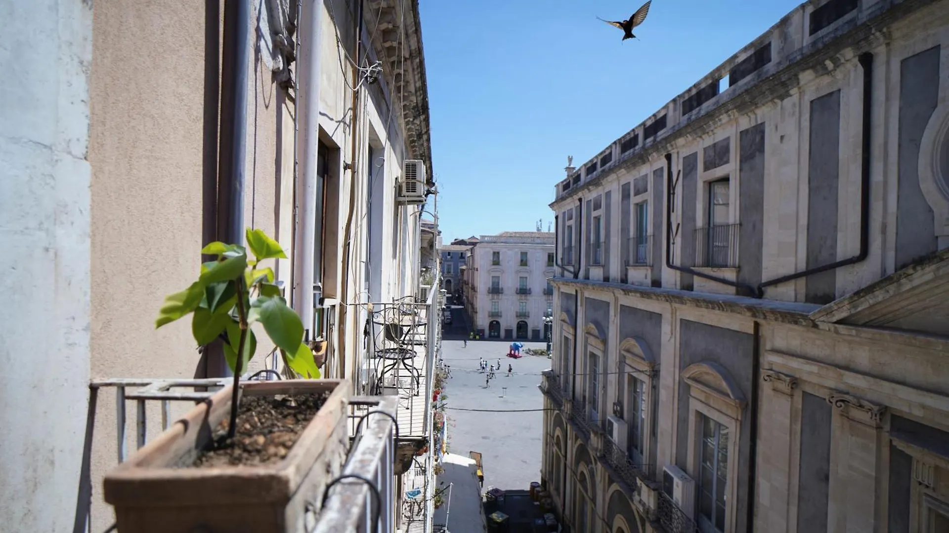 Casa Delle Rondini Apartment Catania